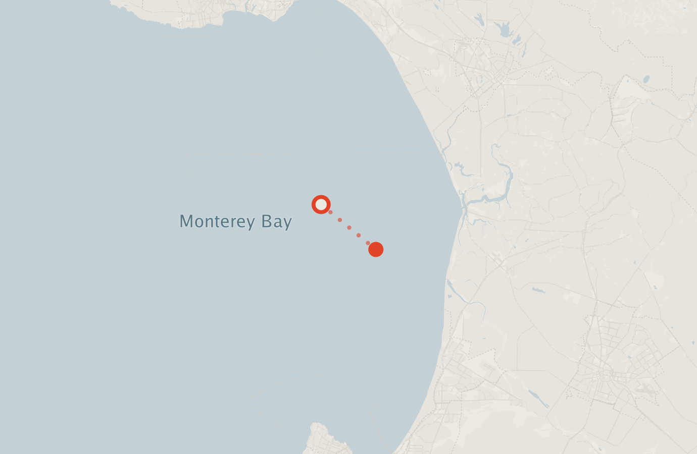 Activity map — real sighting points on an OpenStreetMap basemap