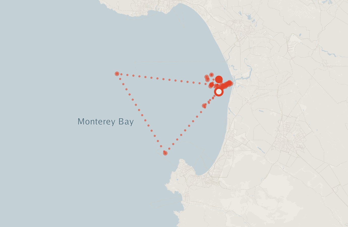 Activity map — real sighting points on an OpenStreetMap basemap