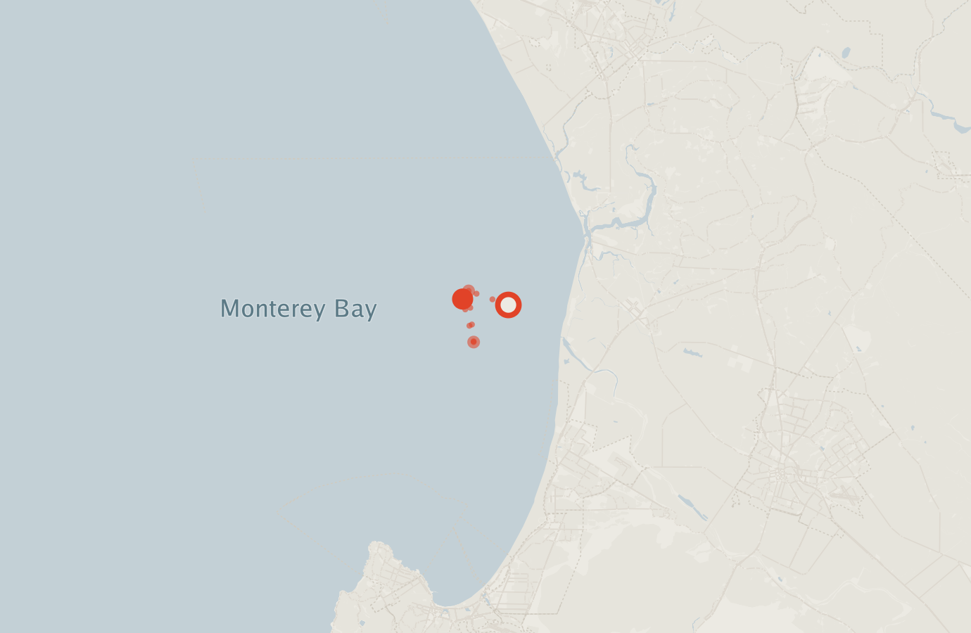 Activity map — real sighting points on an OpenStreetMap basemap