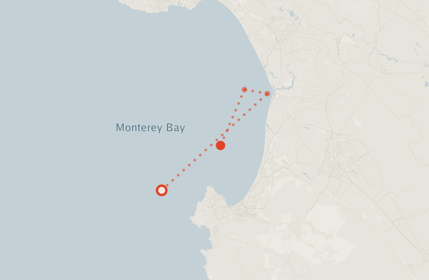 Activity map — real sighting points on an OpenStreetMap basemap
