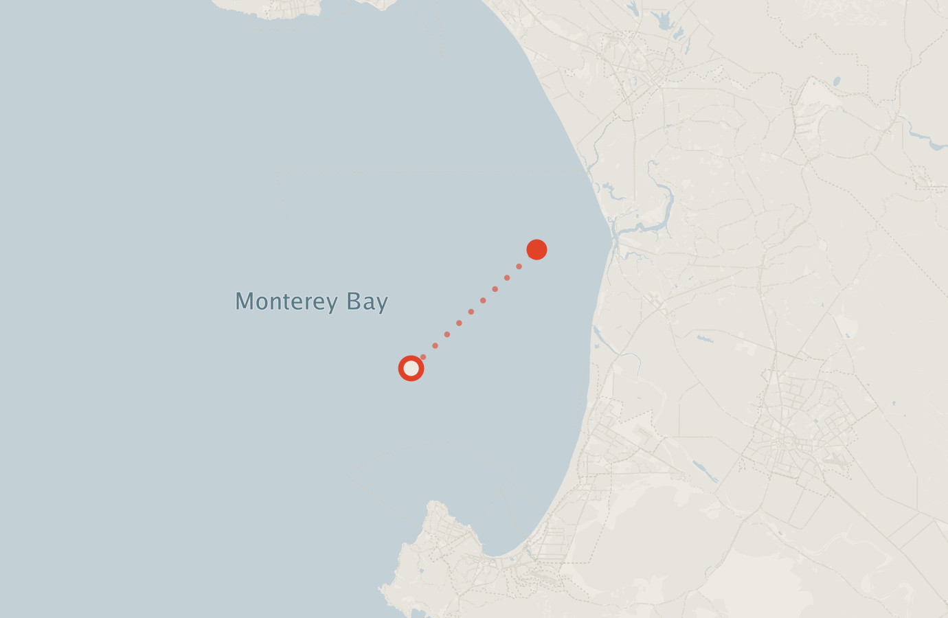 Activity map — real sighting points on an OpenStreetMap basemap