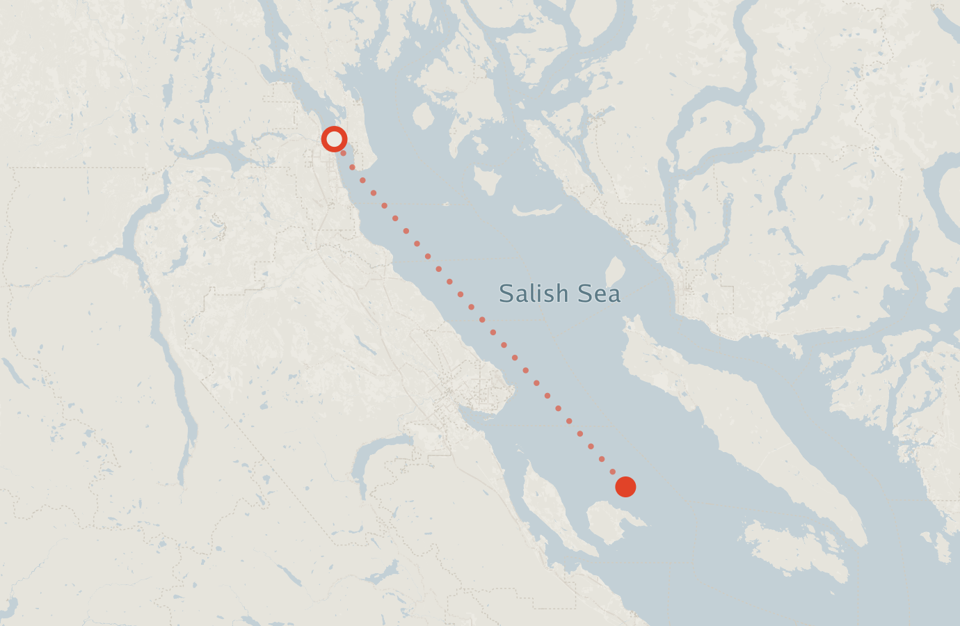 Activity map — real sighting points on an OpenStreetMap basemap