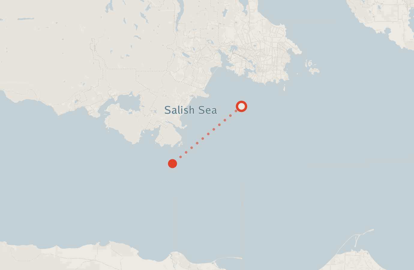 Activity map — real sighting points on an OpenStreetMap basemap