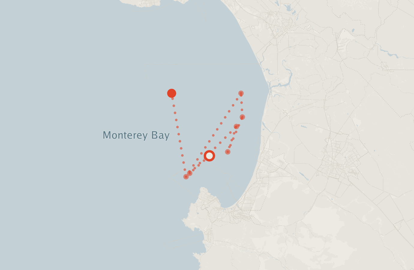 Activity map — real sighting points on an OpenStreetMap basemap