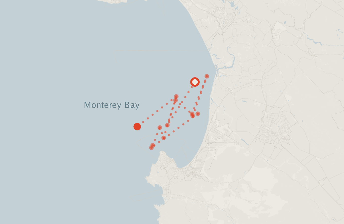 Activity map — real sighting points on an OpenStreetMap basemap
