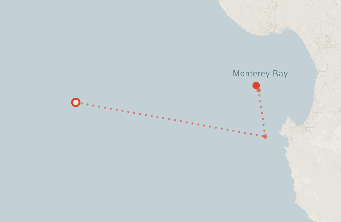 Activity map — real sighting points on an OpenStreetMap basemap