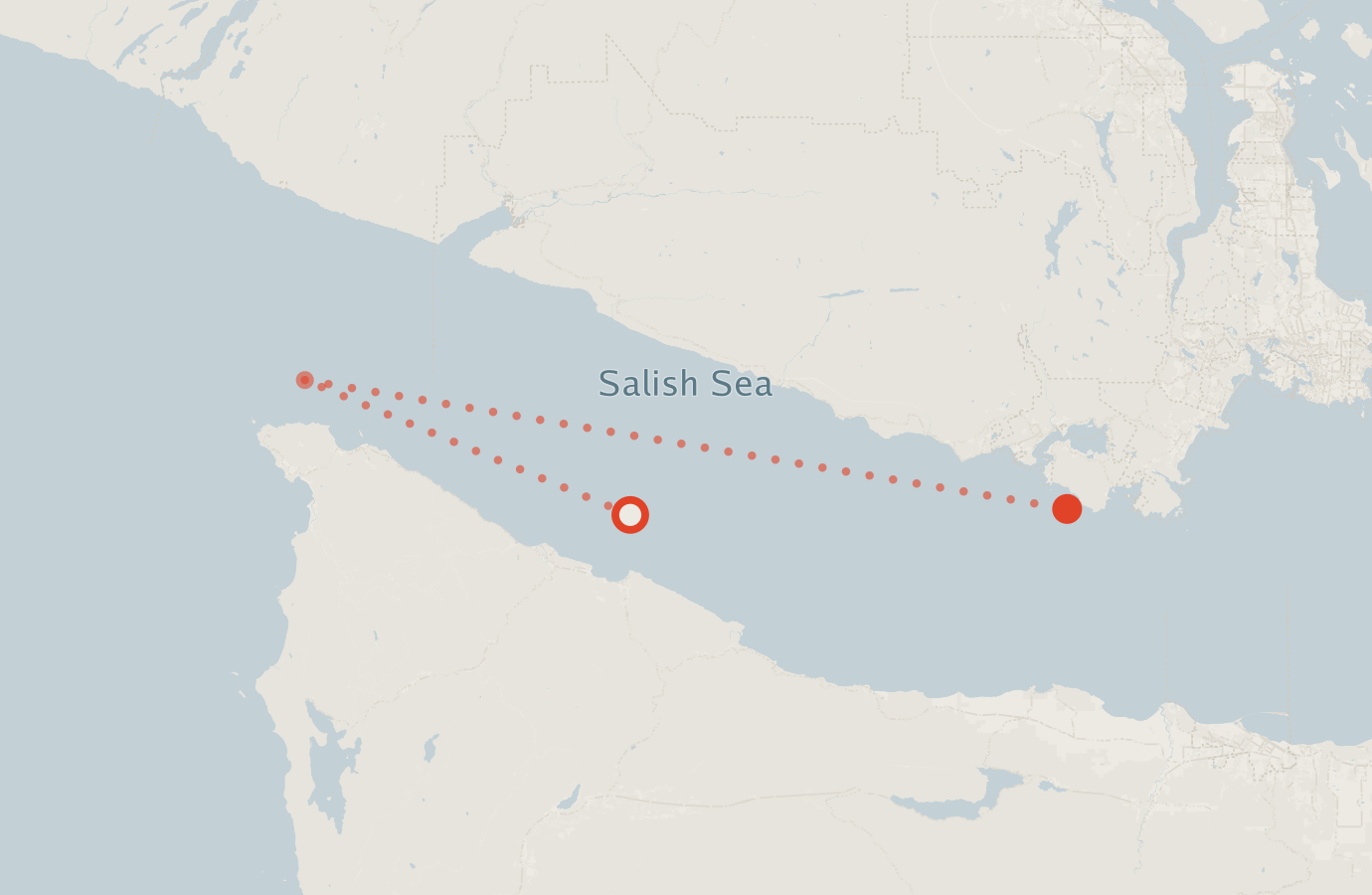 Activity map — real sighting points on an OpenStreetMap basemap