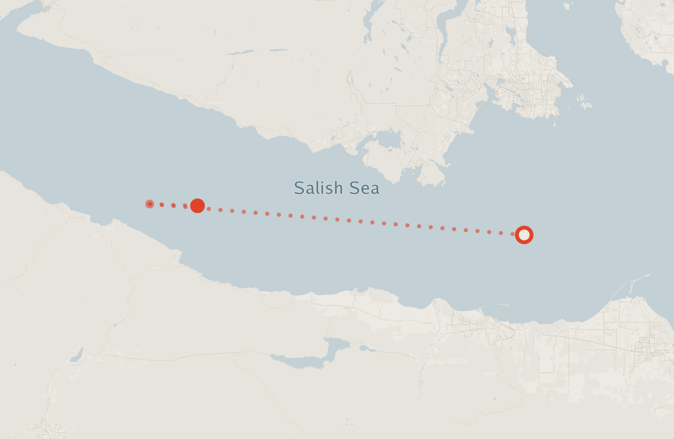 Activity map — real sighting points on an OpenStreetMap basemap