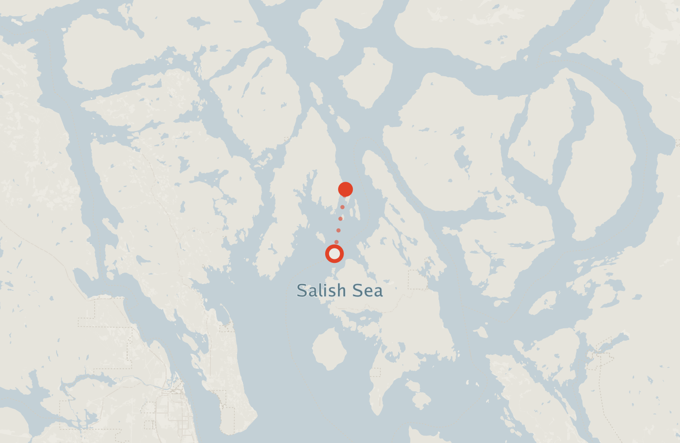 Activity map — real sighting points on an OpenStreetMap basemap