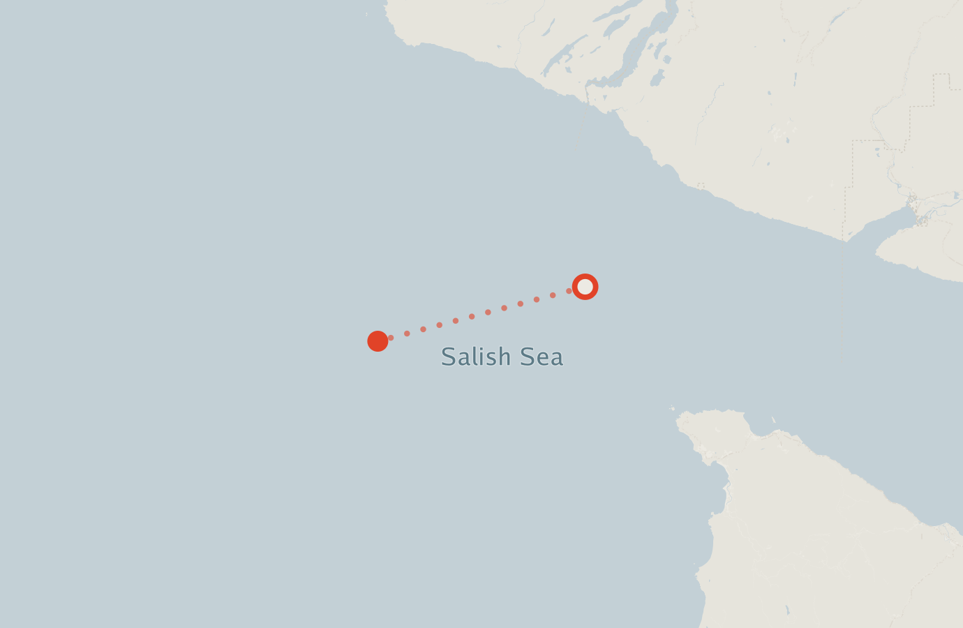 Activity map — real sighting points on an OpenStreetMap basemap
