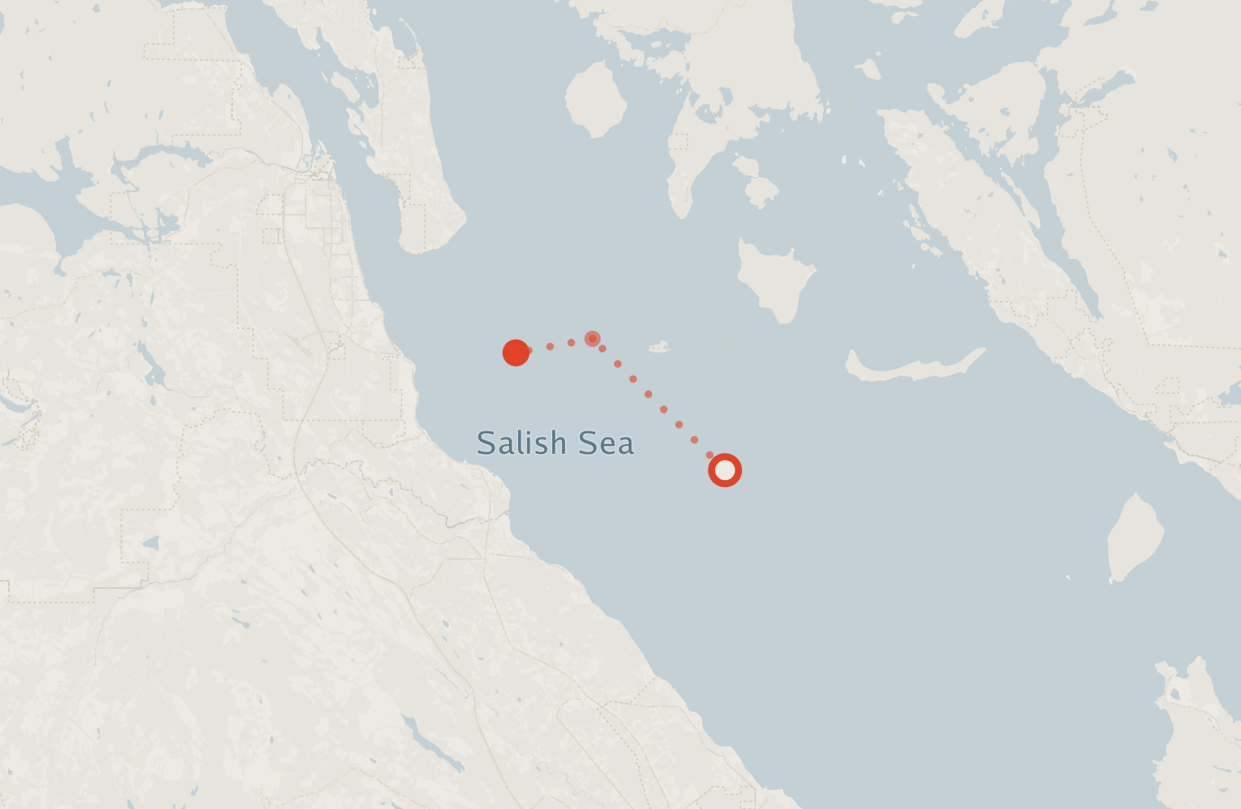 Activity map — real sighting points on an OpenStreetMap basemap