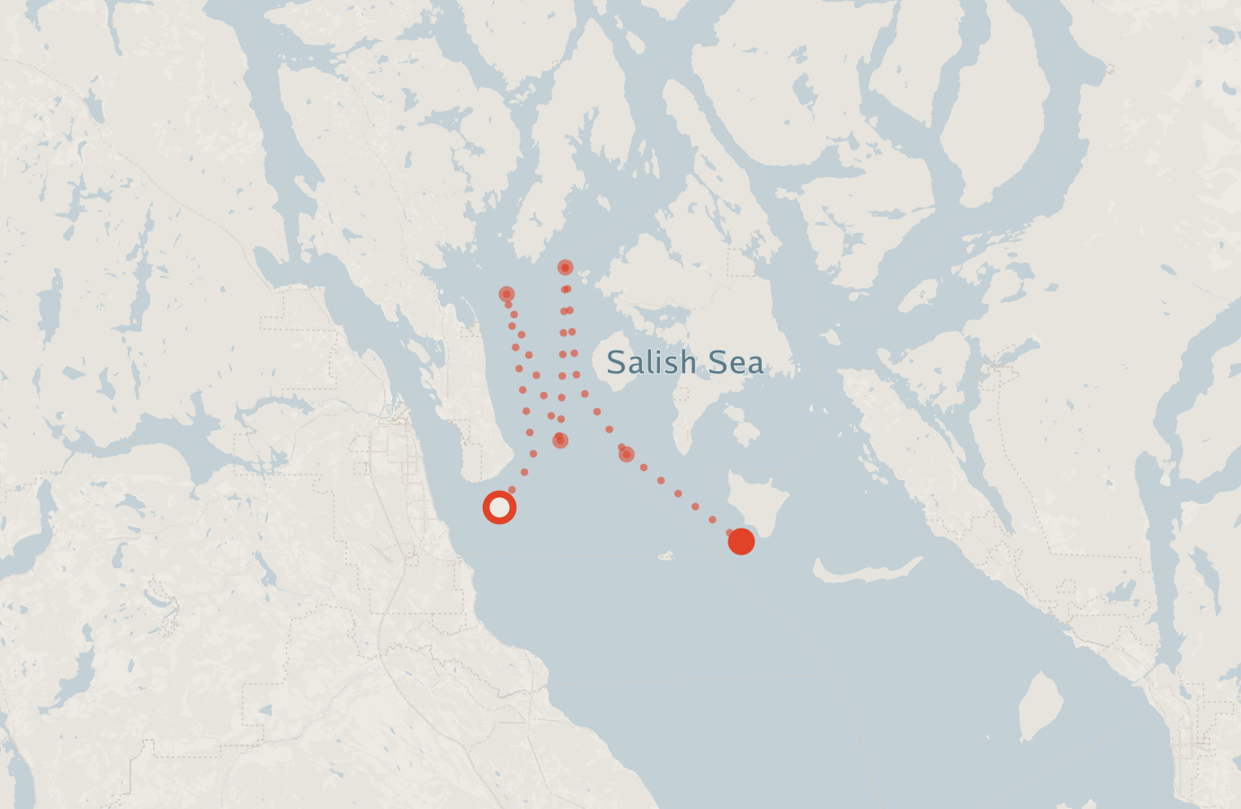 Activity map — real sighting points on an OpenStreetMap basemap