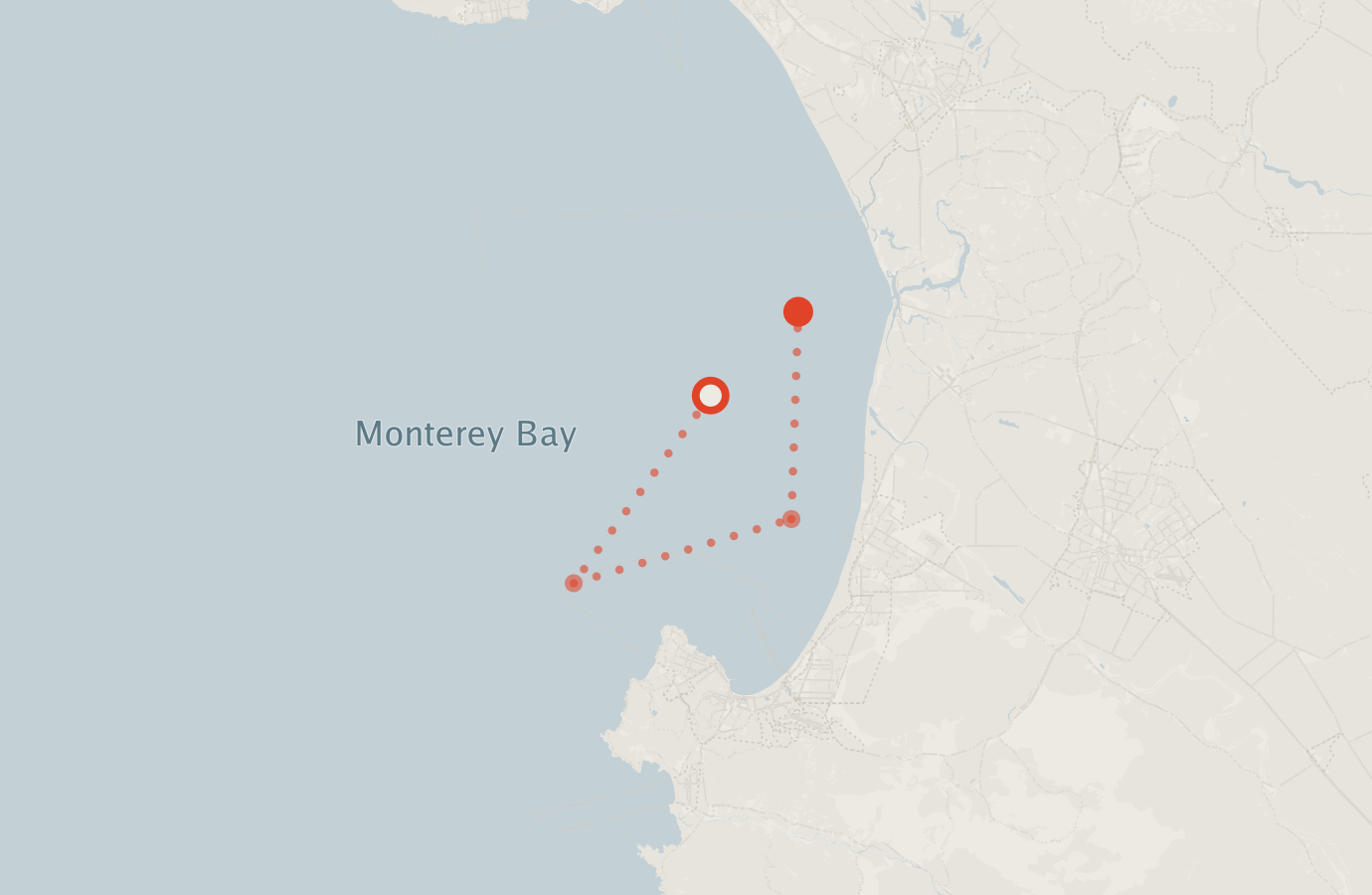 Activity map — real sighting points on an OpenStreetMap basemap