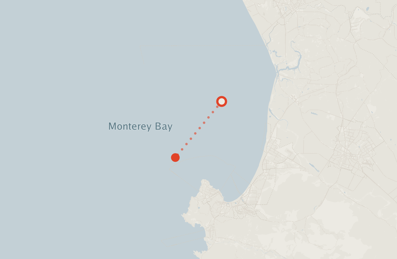Activity map — real sighting points on an OpenStreetMap basemap