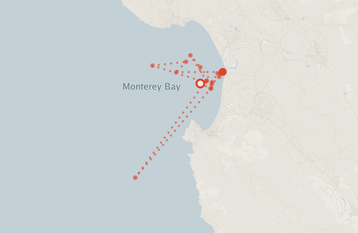 Activity map — real sighting points on an OpenStreetMap basemap