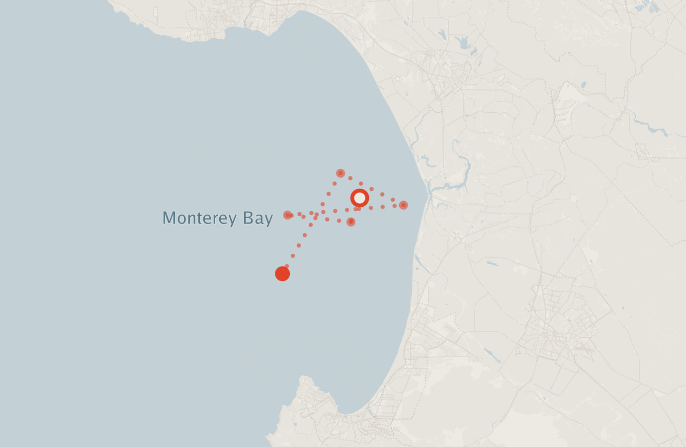 Activity map — real sighting points on an OpenStreetMap basemap