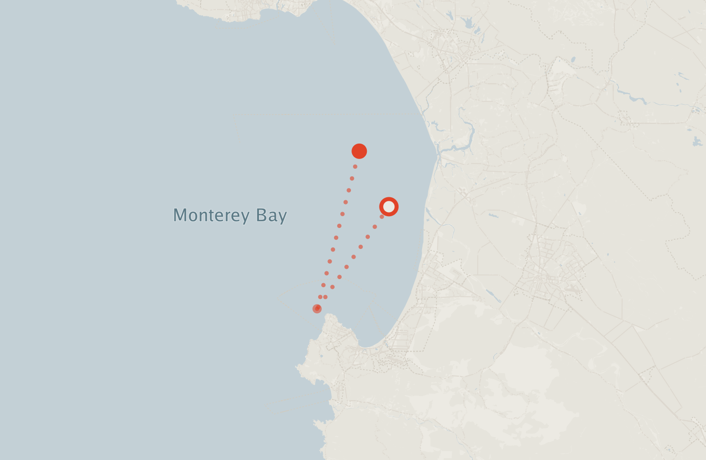 Activity map — real sighting points on an OpenStreetMap basemap