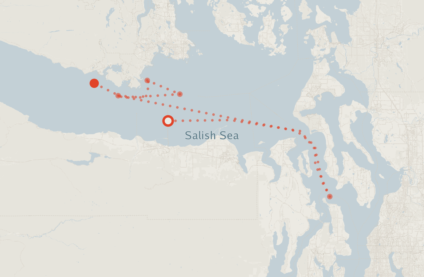 Activity map — real sighting points on an OpenStreetMap basemap