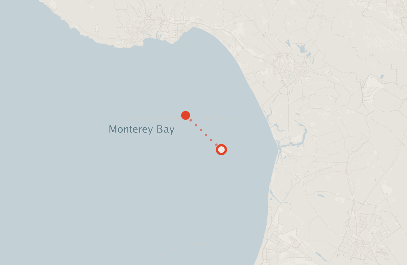 Activity map — real sighting points on an OpenStreetMap basemap