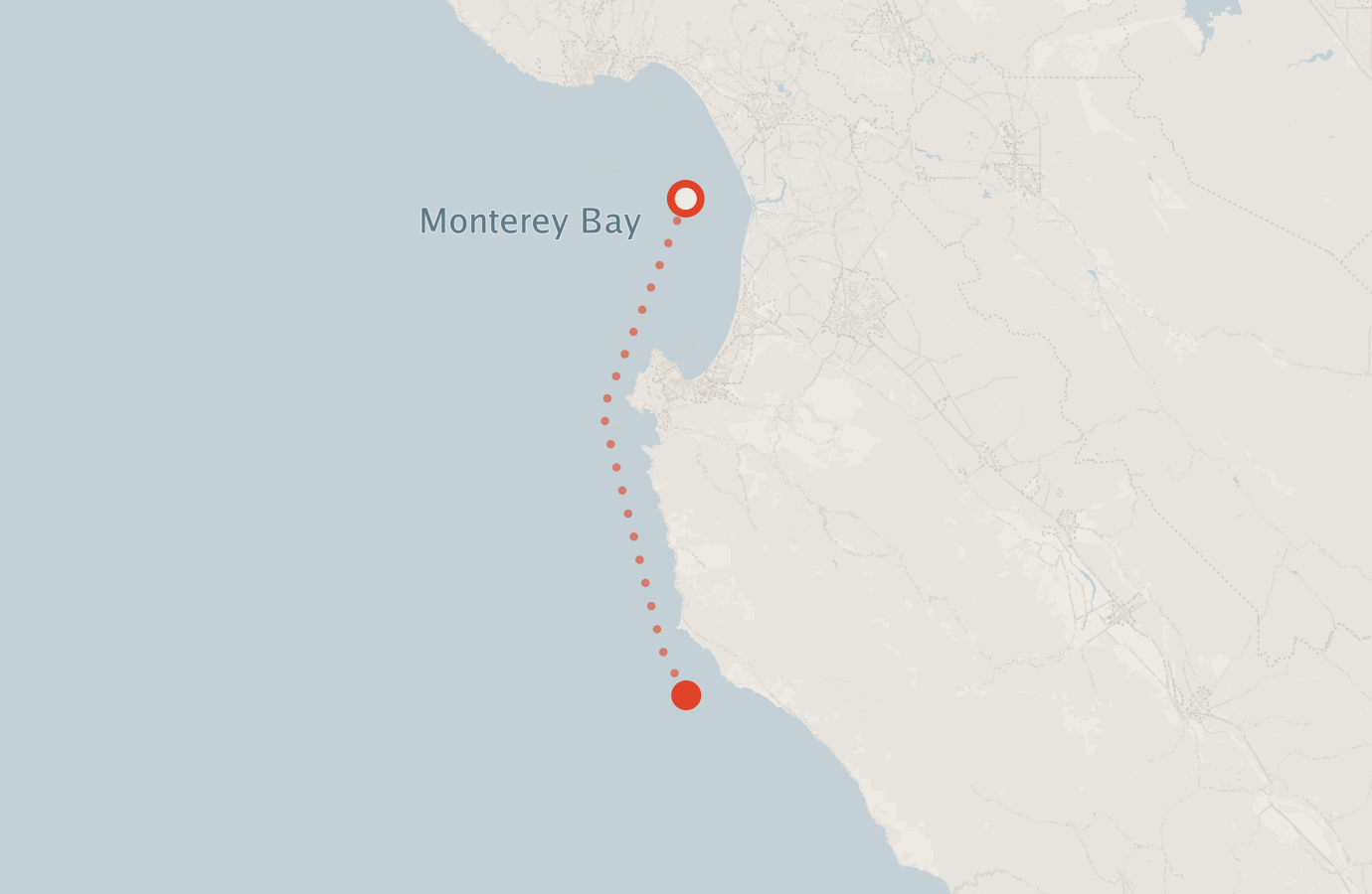 Activity map — real sighting points on an OpenStreetMap basemap