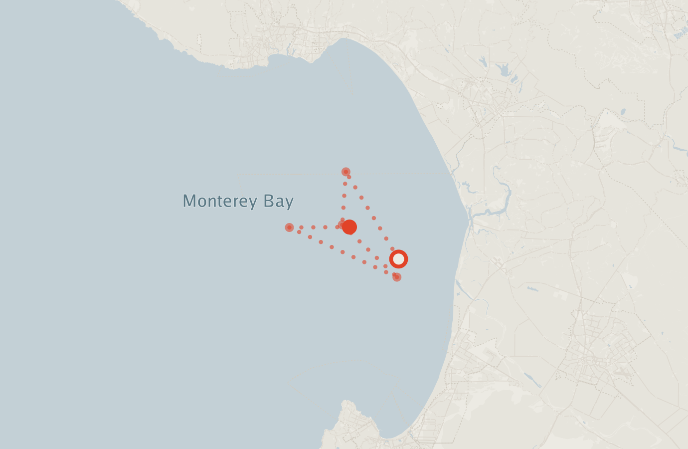 Activity map — real sighting points on an OpenStreetMap basemap
