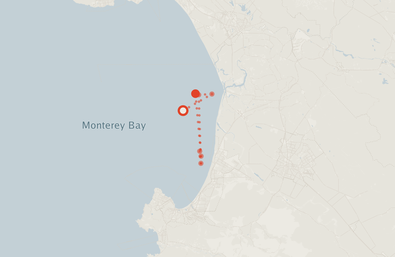 Activity map — real sighting points on an OpenStreetMap basemap