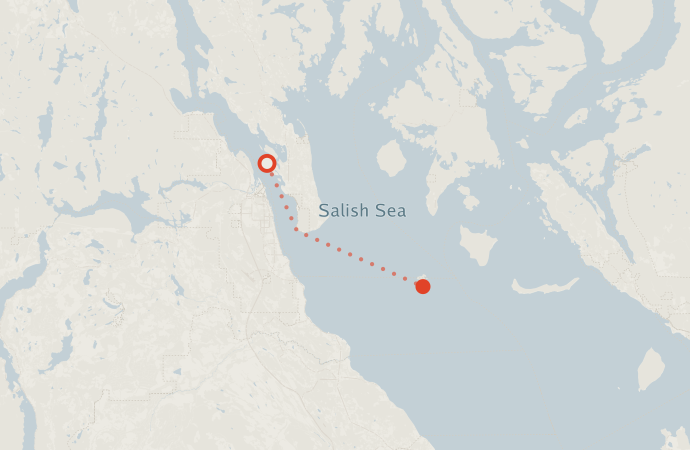 Activity map — real sighting points on an OpenStreetMap basemap