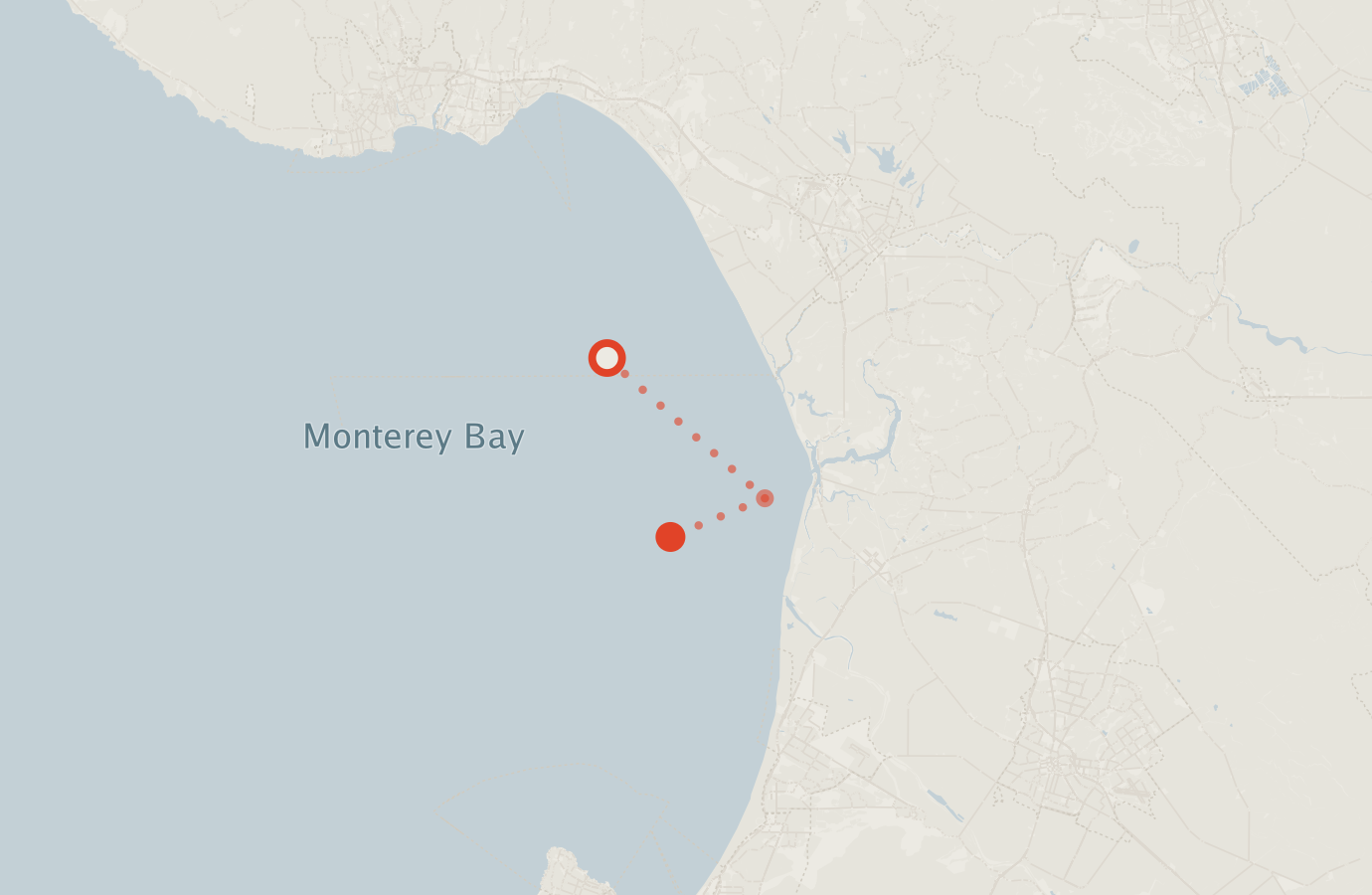 Activity map — real sighting points on an OpenStreetMap basemap