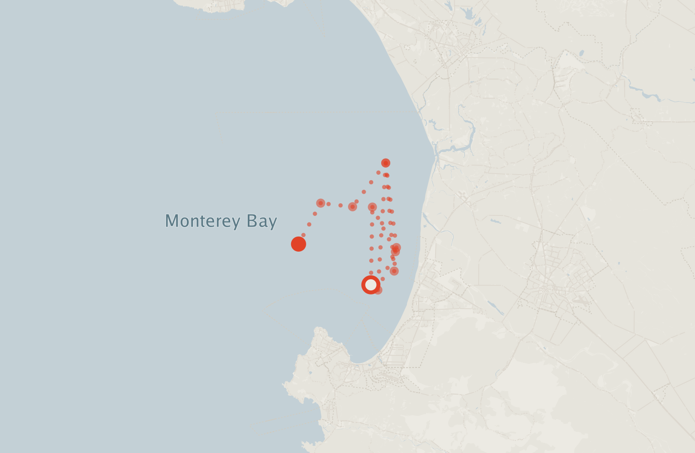 Activity map — real sighting points on an OpenStreetMap basemap