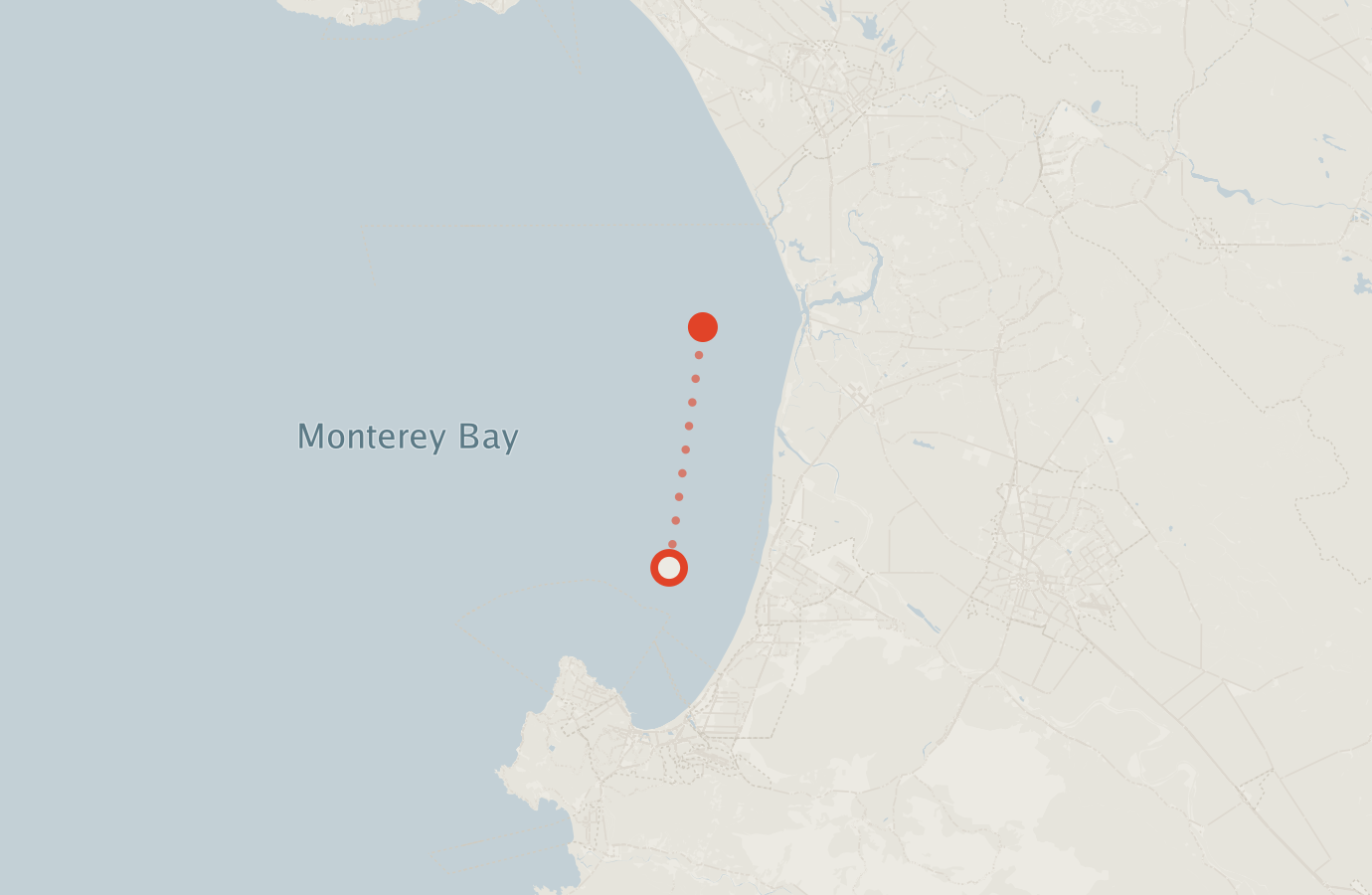 Activity map — real sighting points on an OpenStreetMap basemap