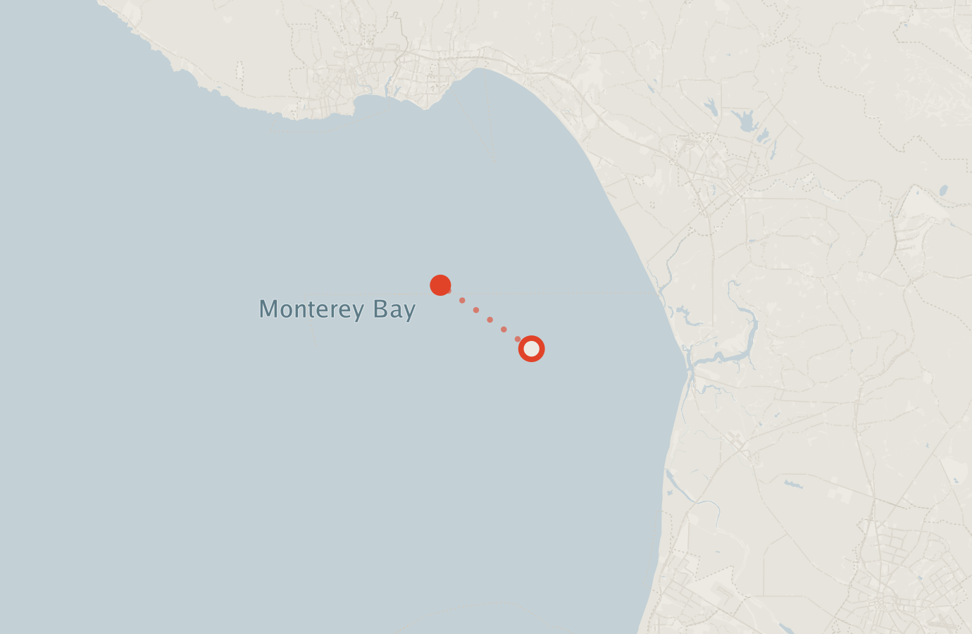 Activity map — real sighting points on an OpenStreetMap basemap