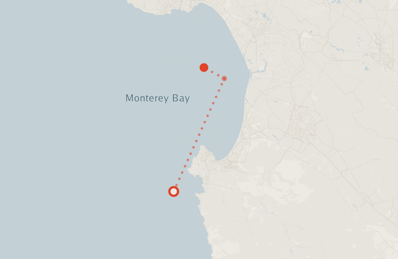 Activity map — real sighting points on an OpenStreetMap basemap