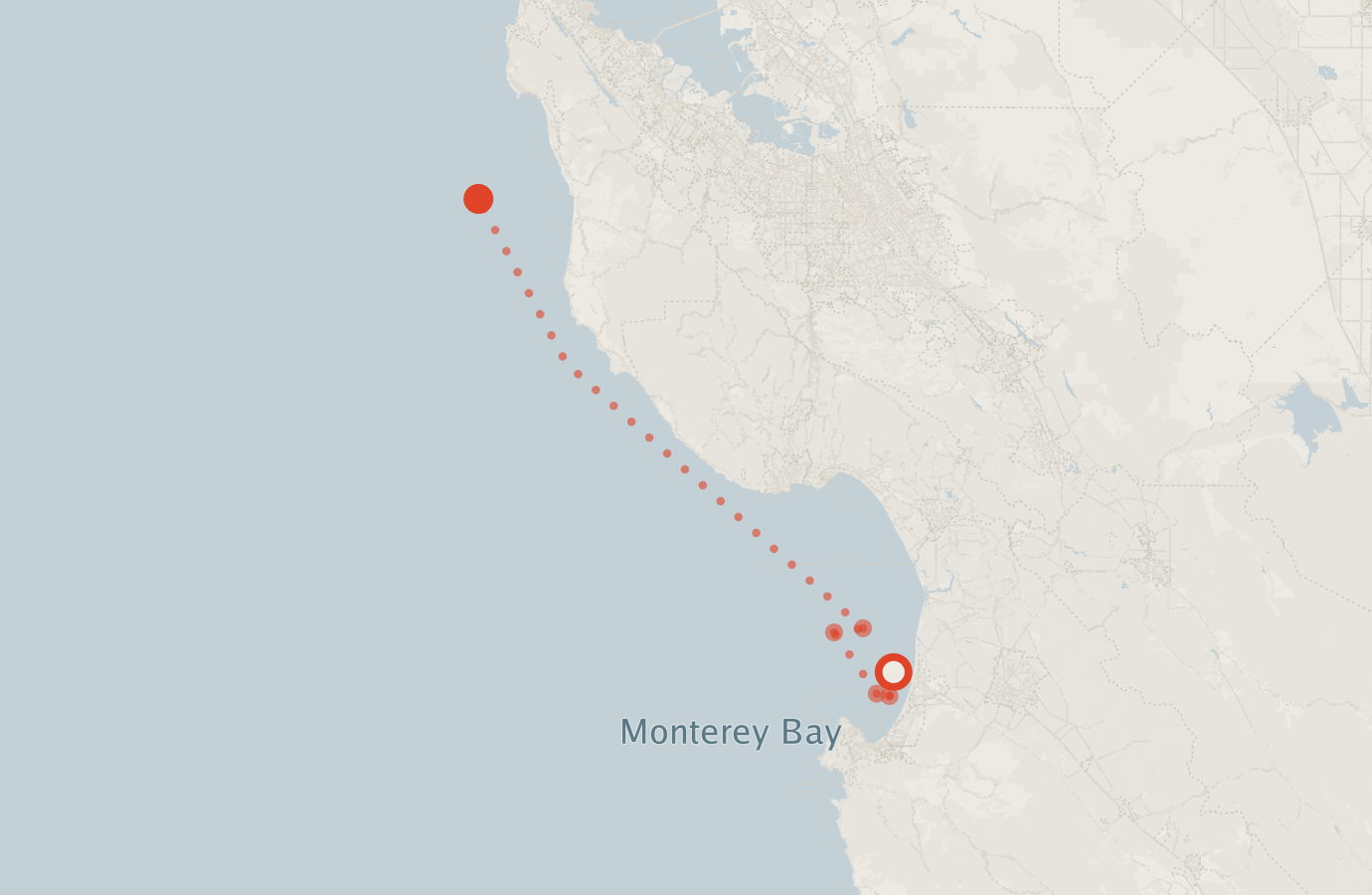 Activity map — real sighting points on an OpenStreetMap basemap