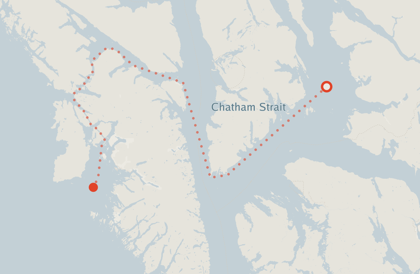 Activity map — real sighting points on an OpenStreetMap basemap