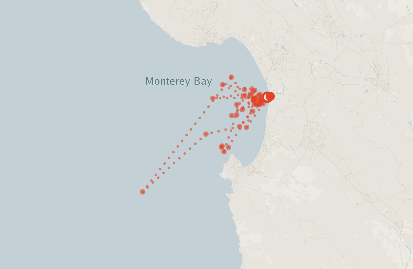 Activity map — real sighting points on an OpenStreetMap basemap