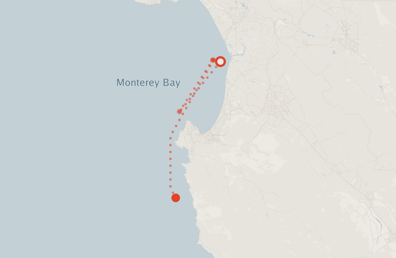 Activity map — real sighting points on an OpenStreetMap basemap