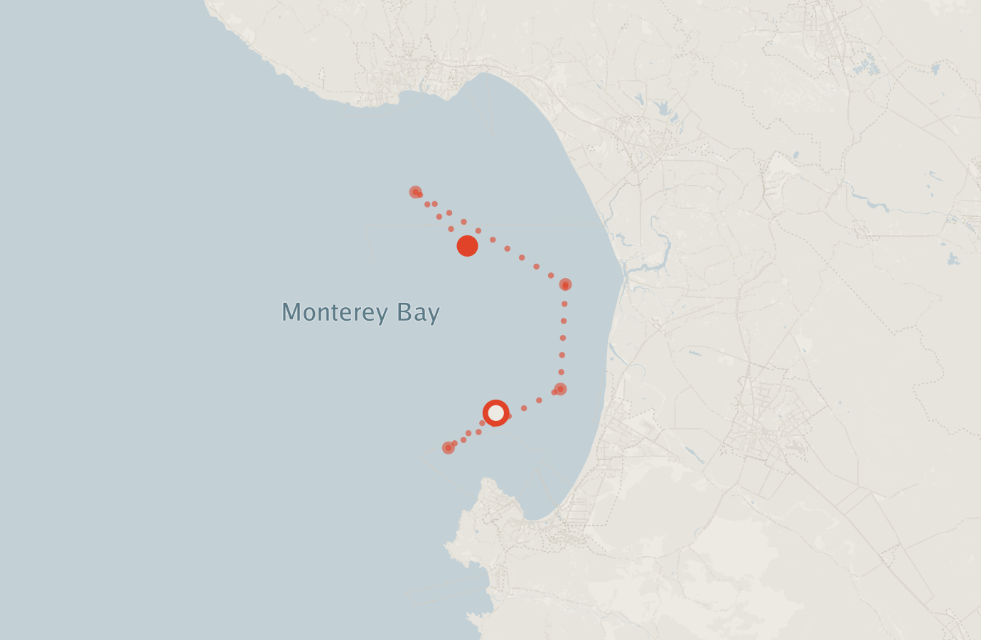 Activity map — real sighting points on an OpenStreetMap basemap
