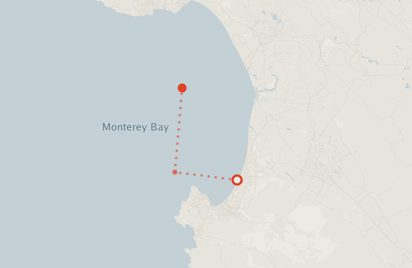 Activity map — real sighting points on an OpenStreetMap basemap