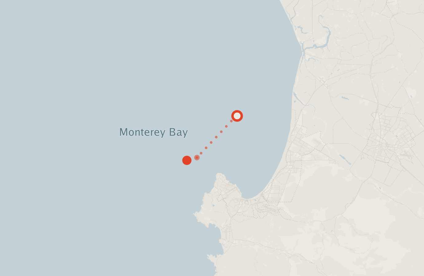 Activity map — real sighting points on an OpenStreetMap basemap