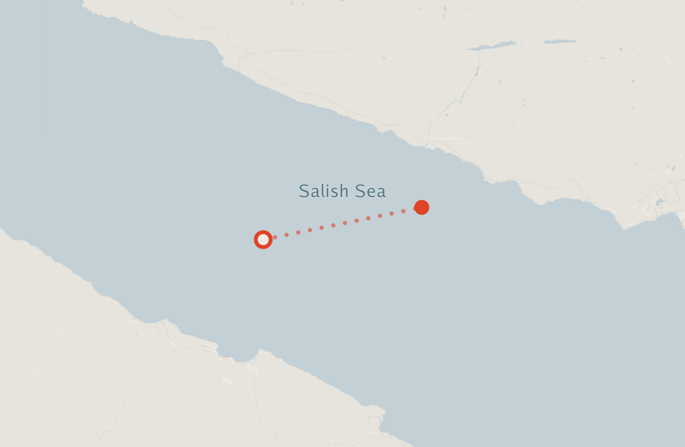 Activity map — real sighting points on an OpenStreetMap basemap