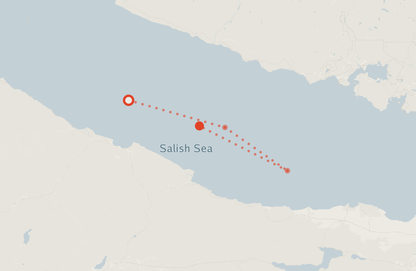 Activity map — real sighting points on an OpenStreetMap basemap
