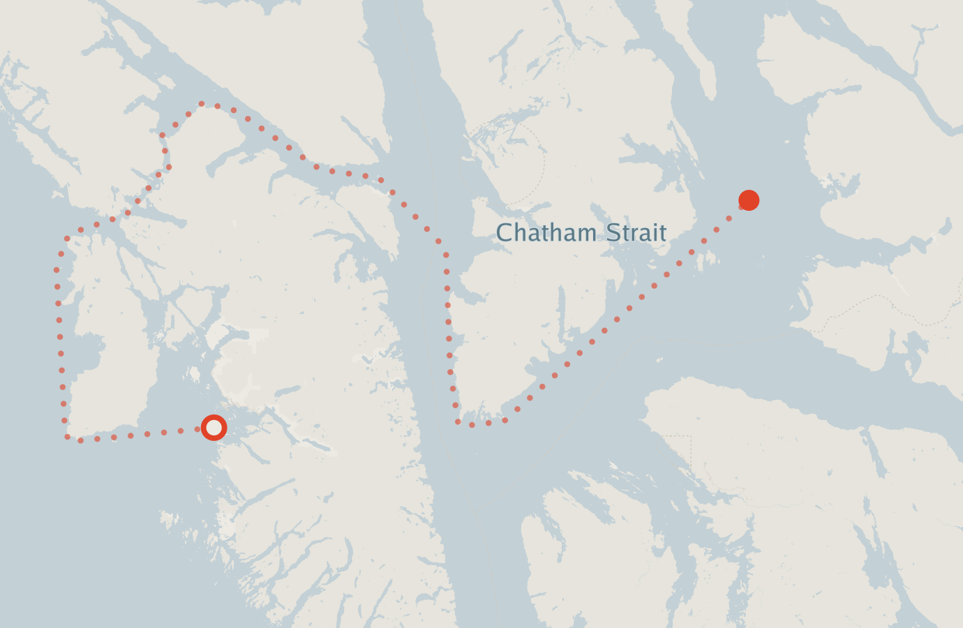 Activity map — real sighting points on an OpenStreetMap basemap
