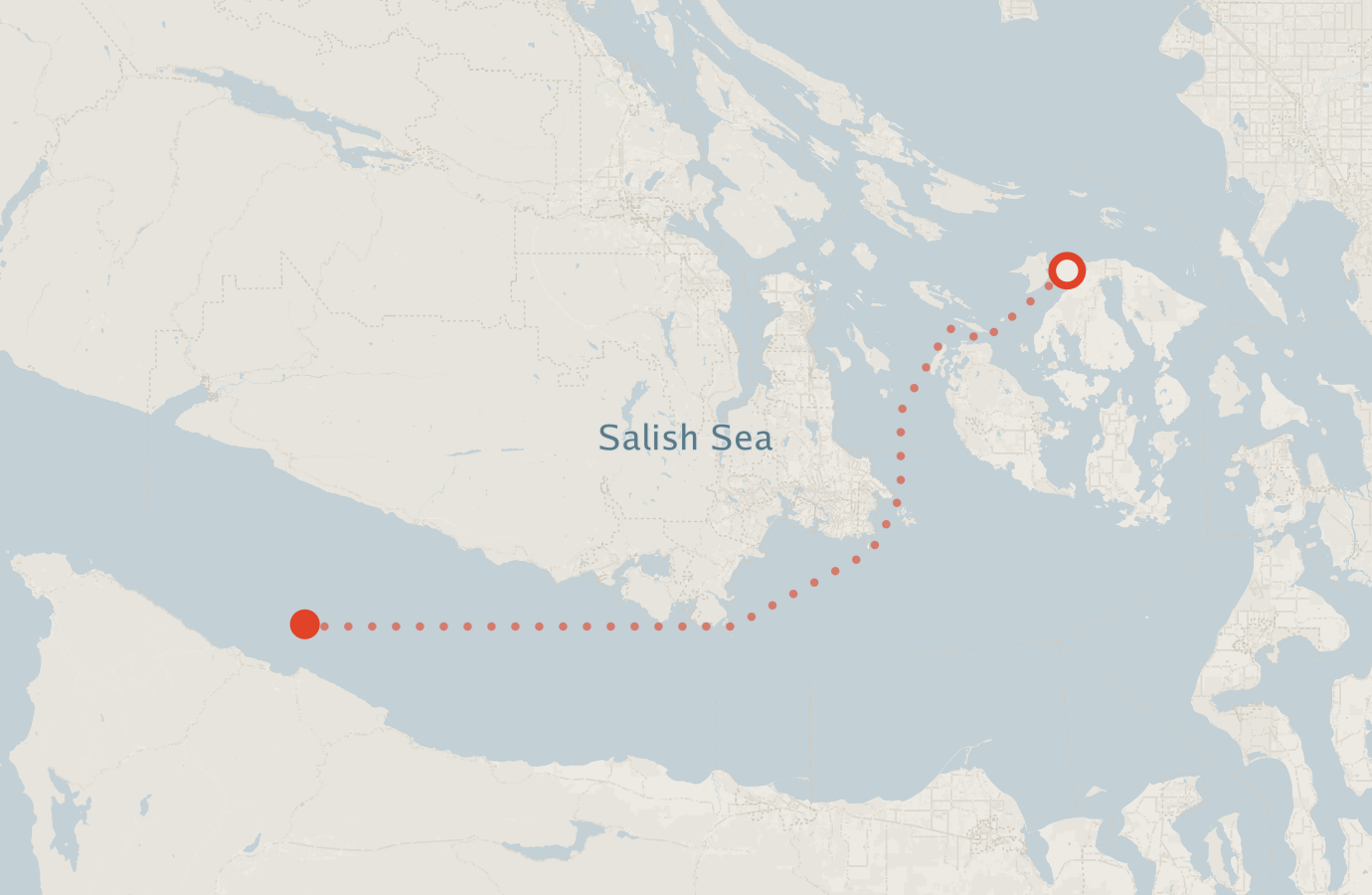 Activity map — real sighting points on an OpenStreetMap basemap