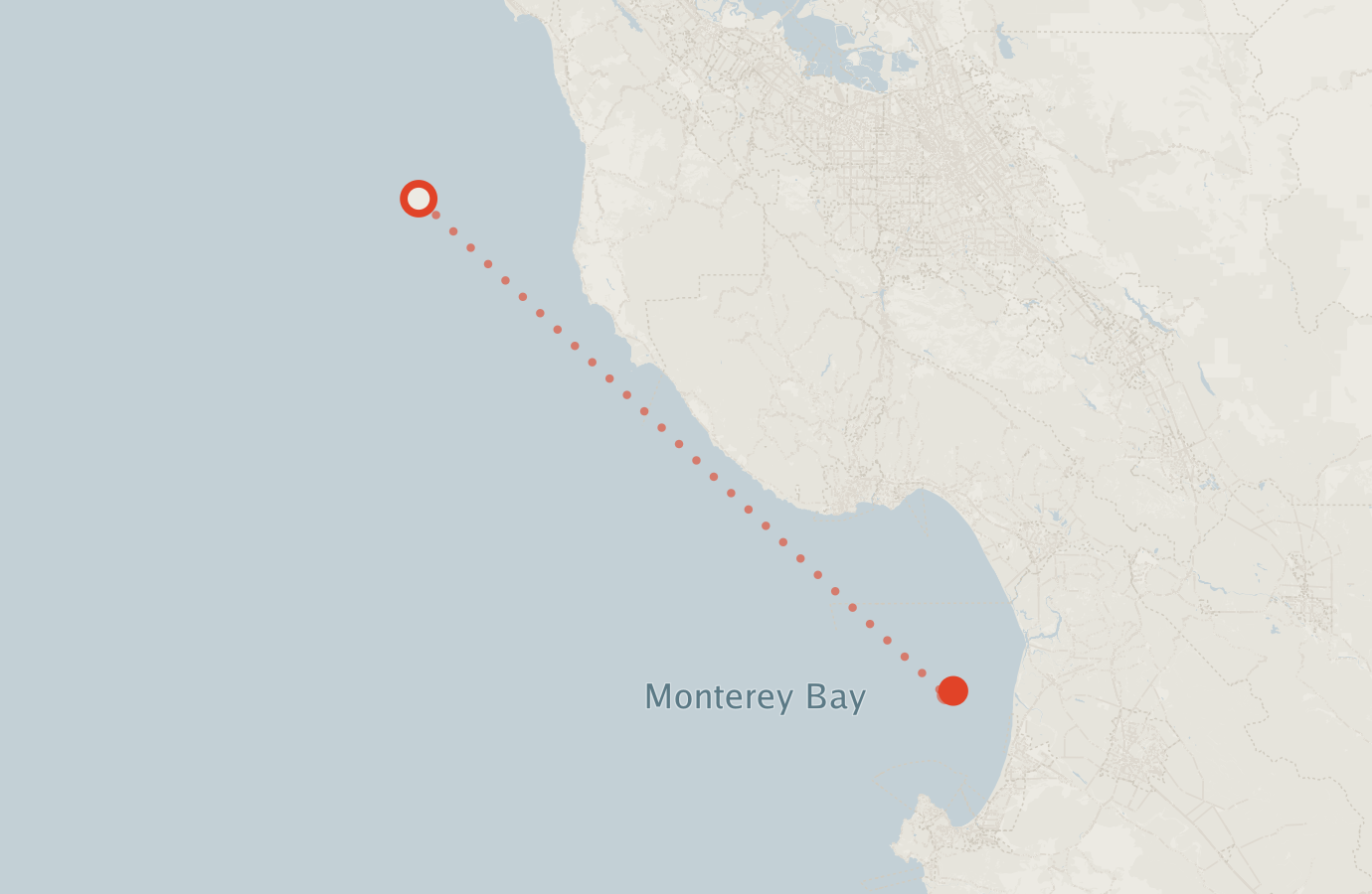 Activity map — real sighting points on an OpenStreetMap basemap