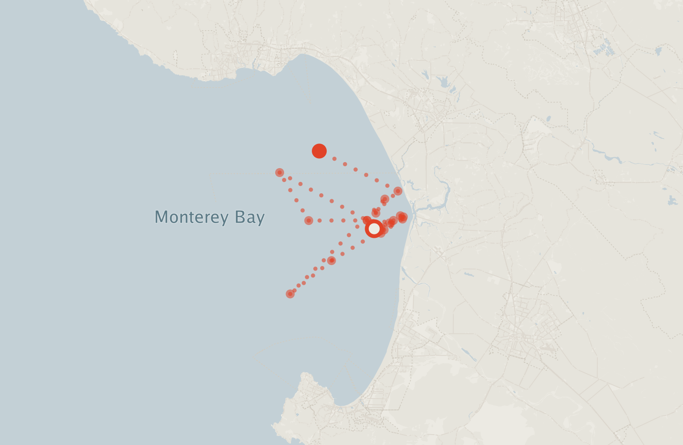 Activity map — real sighting points on an OpenStreetMap basemap