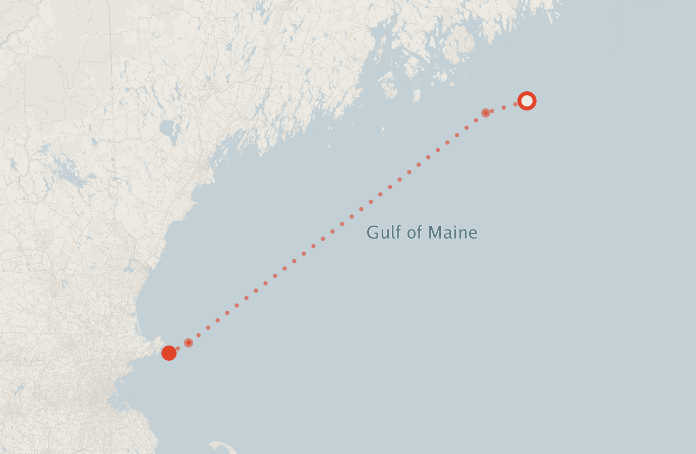 Activity map — real sighting points on an OpenStreetMap basemap