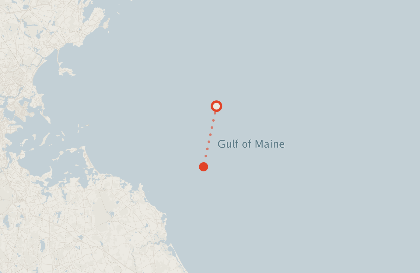 Activity map — real sighting points on an OpenStreetMap basemap