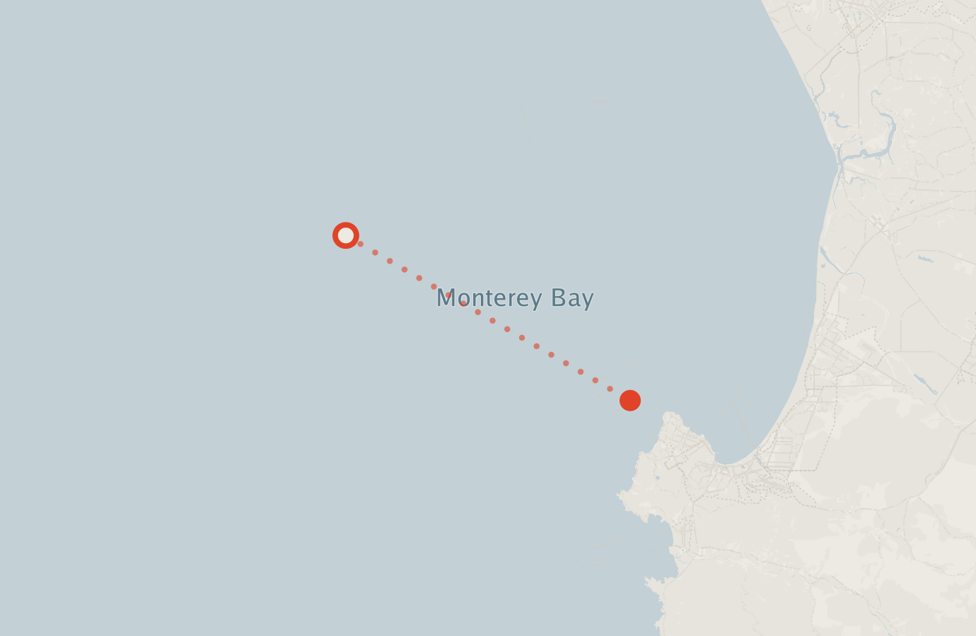 Activity map — real sighting points on an OpenStreetMap basemap