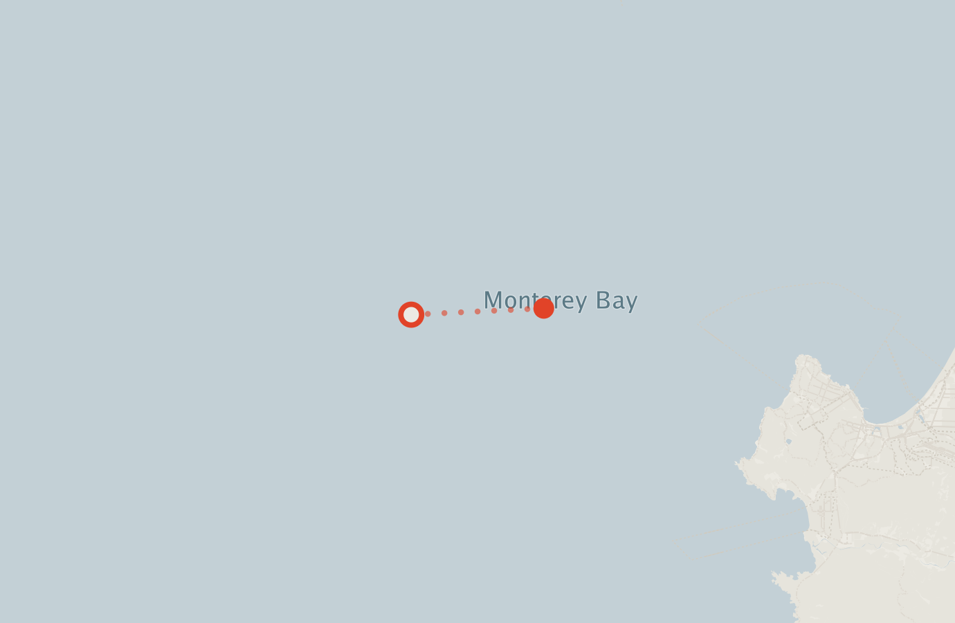 Activity map — real sighting points on an OpenStreetMap basemap