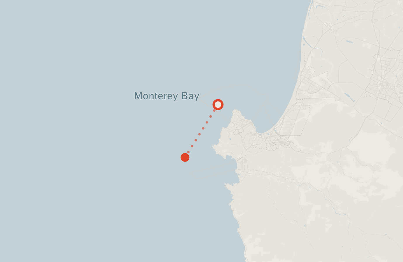 Activity map — real sighting points on an OpenStreetMap basemap